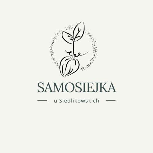 Samosiejka - Z Widokiem Na Jezioro Villa Lidzbark Welski Kültér fotó